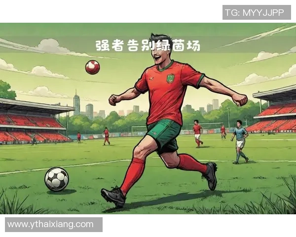 今年告别绿茵场的足球明星们回顾他们的辉煌职业生涯与未来计划 今年告别绿茵场的足球明星们回顾他们的辉煌职业生涯与未来计划